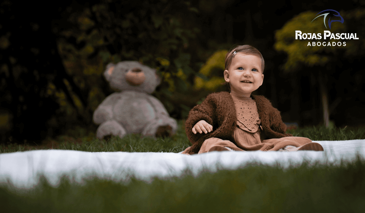 Gestacion Subrogada Argentina Abogado