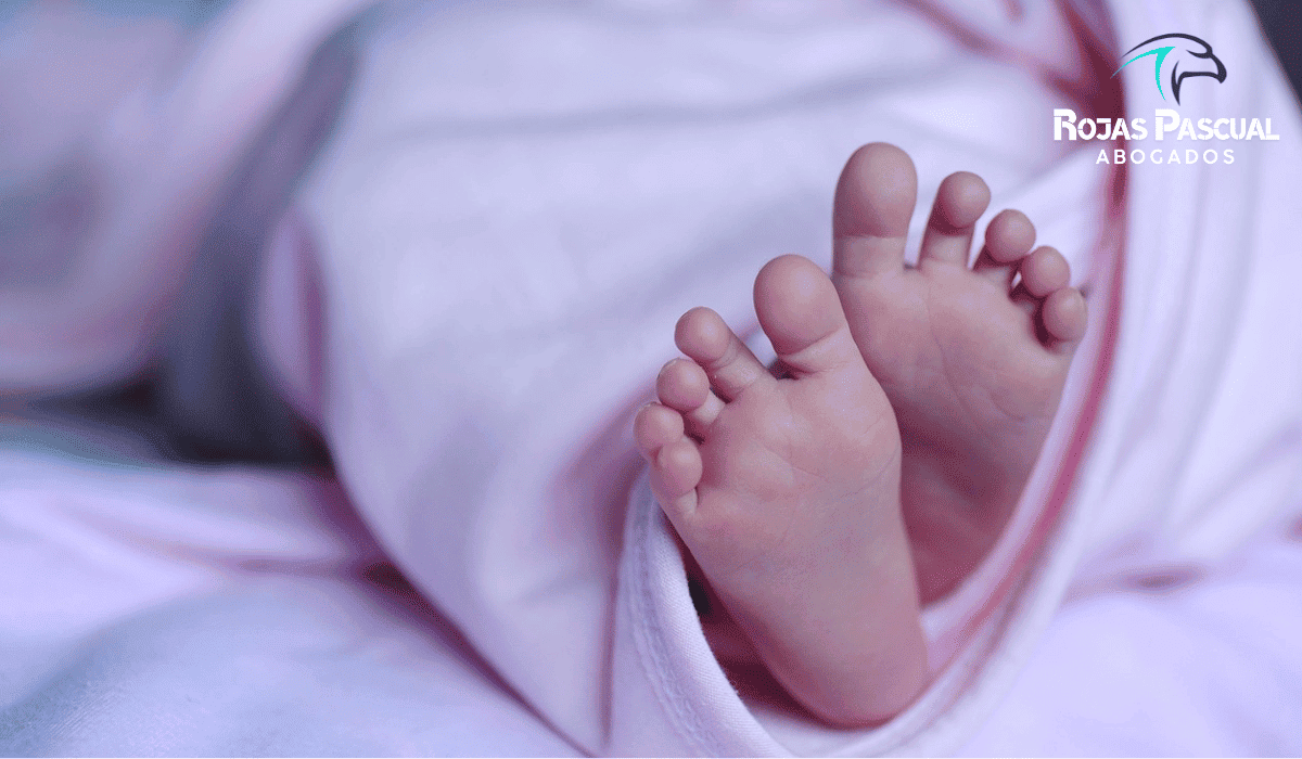 Gestacion Subrogada Argentina Abogado