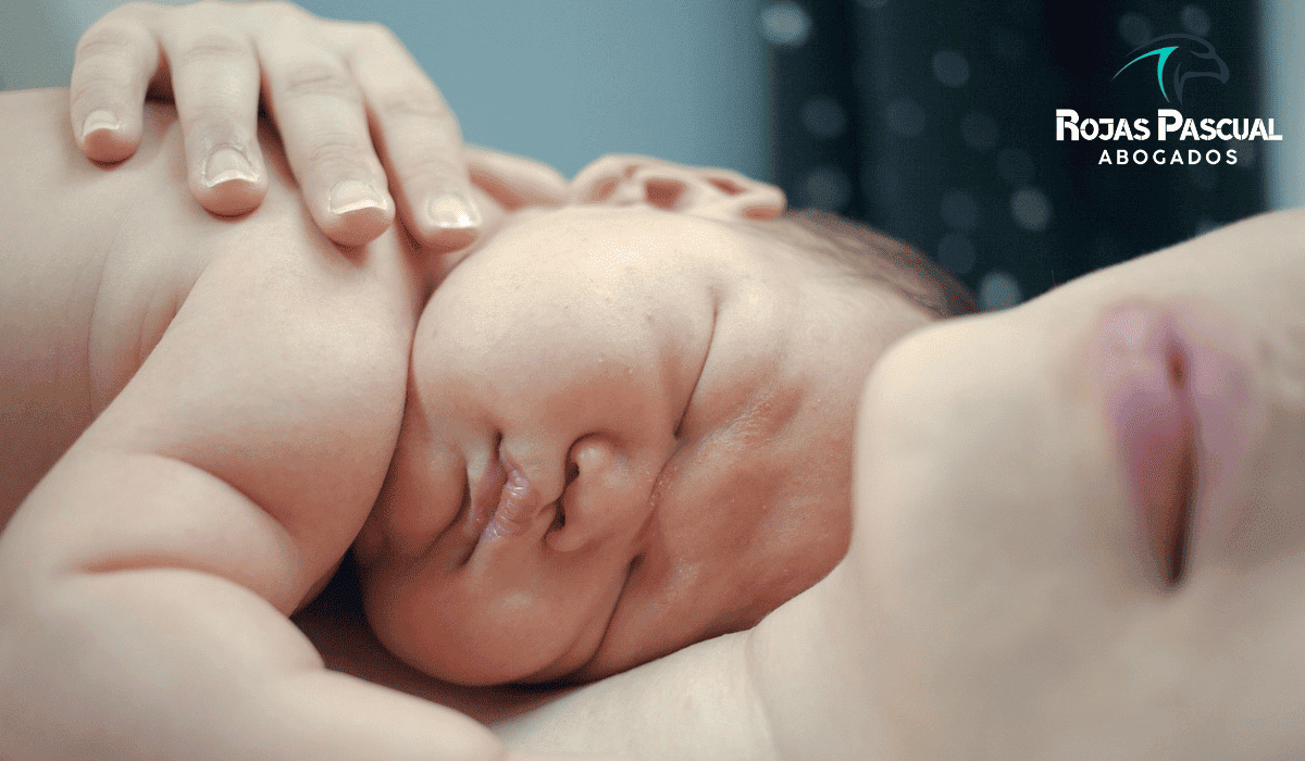 Gestacion Subrogada Argentina Abogado