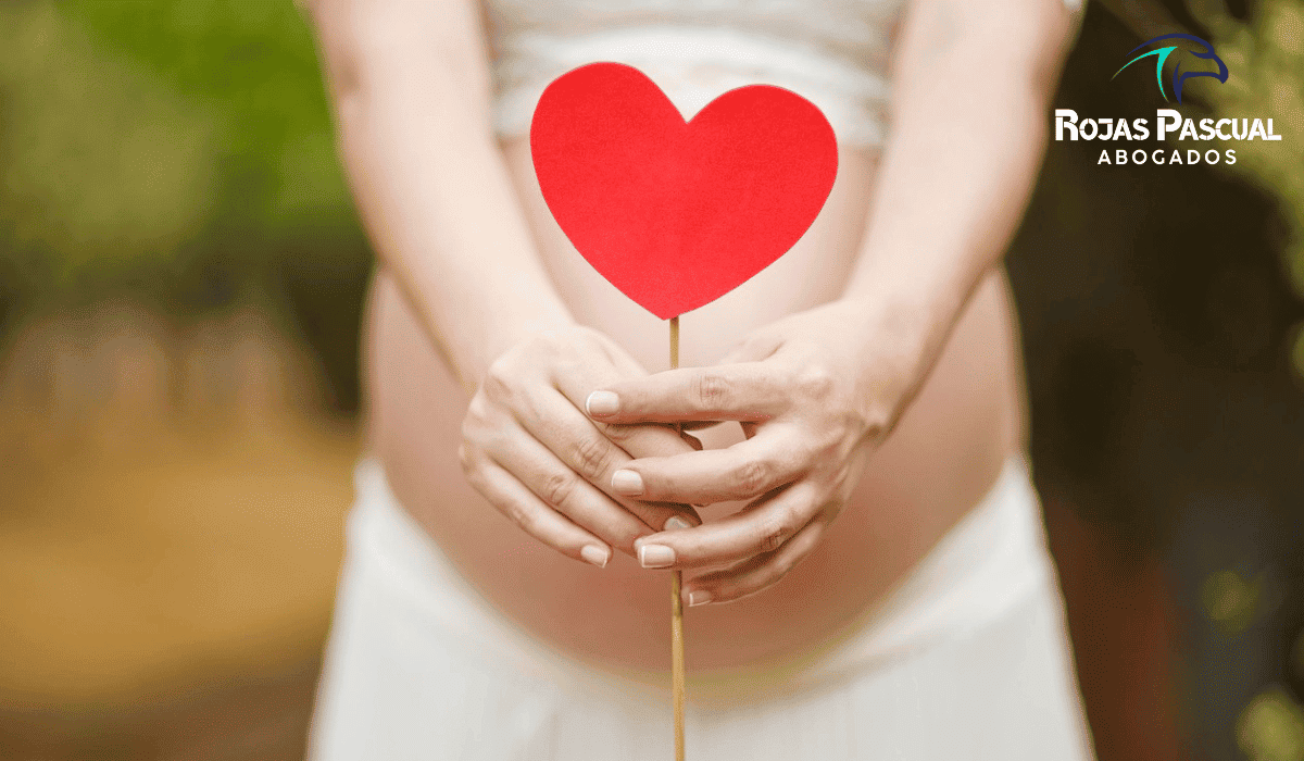 Gestacion Subrogada Argentina