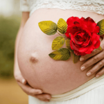 Gestacion Solidaria Argentina Abogado