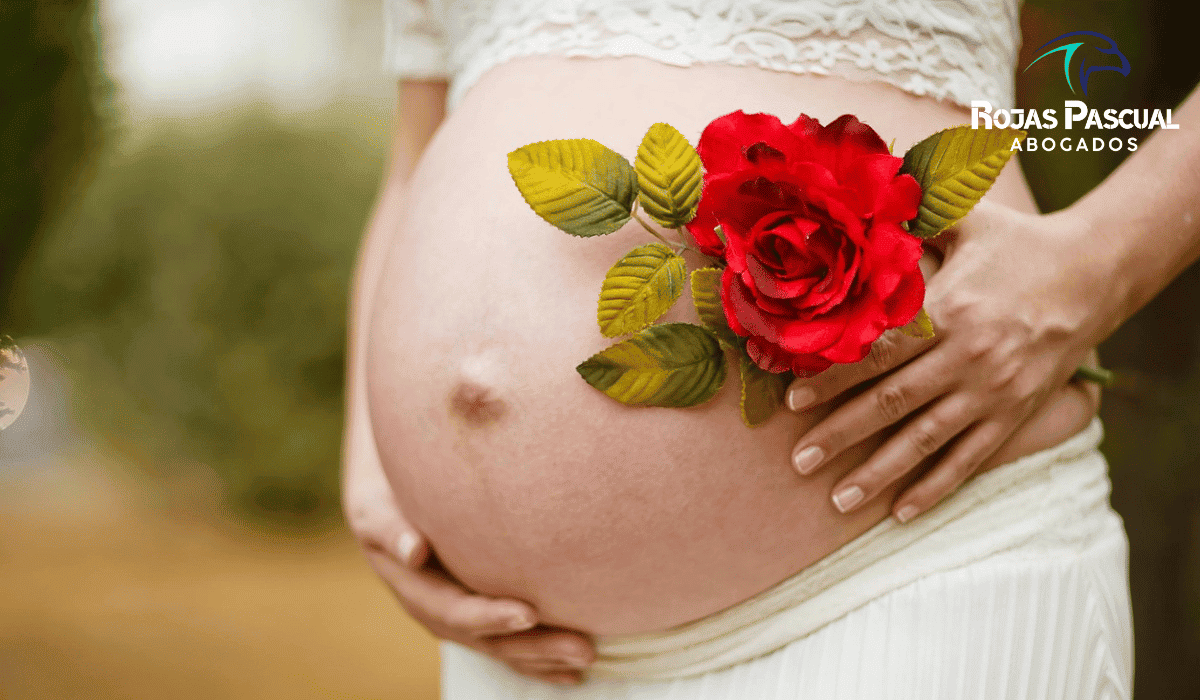Gestacion Solidaria Argentina Abogado