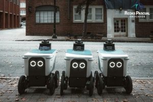 Empresa AI-native: que son y como cambian la estructura de las empresas